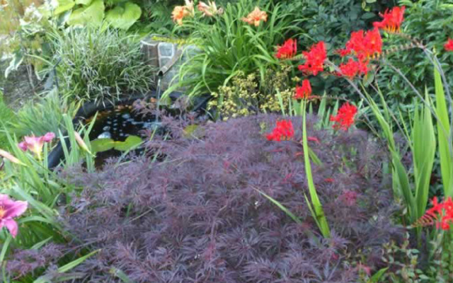 Plantation et aménagement de jardin